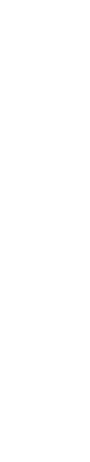 新価値