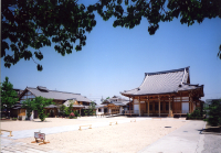 藍住体育館03
